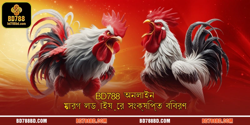 BD788 অনলাইন মোরগ লড়াইয়ের সংক্ষিপ্ত বিবরণ